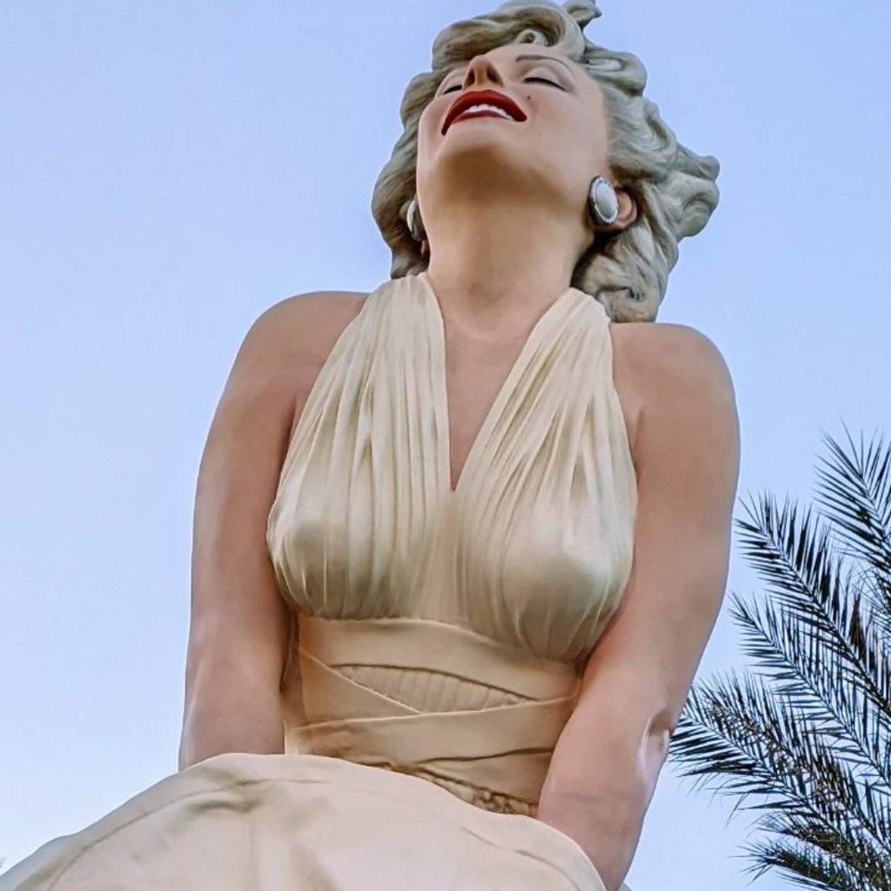 Meet your Posher, Robin